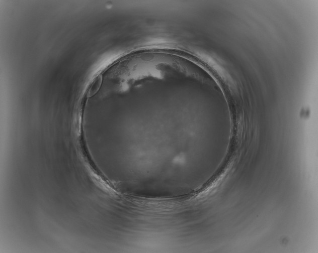 X0000097511413200802221456