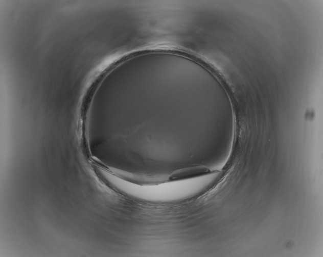 X0000097511414200802221456