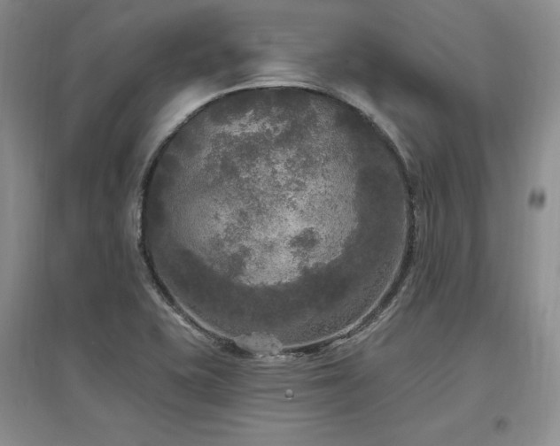 X0000097511415200802221456