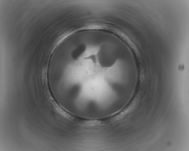 X0000097511417200802221456