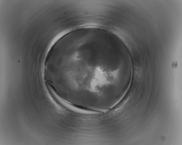 X0000097511418200802221456