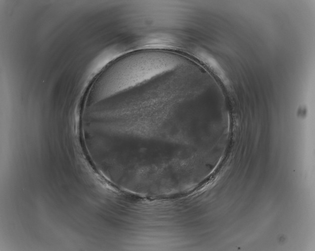 X0000097511419200802221456