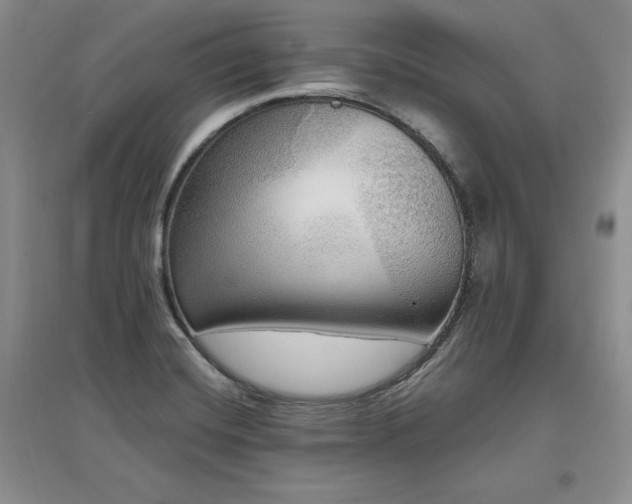 X0000097511420200802221456