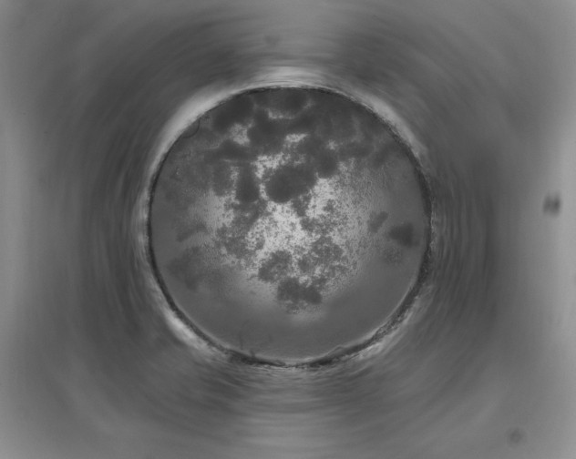 X0000097511421200802221456