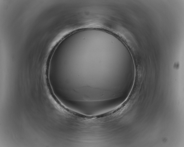 X0000097511422200802221456