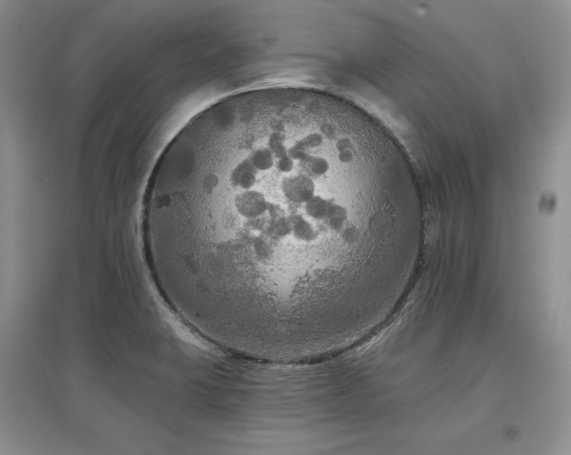 X0000097511423200802221456