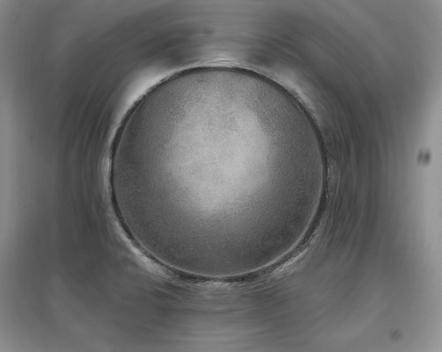 X0000097511424200802221456