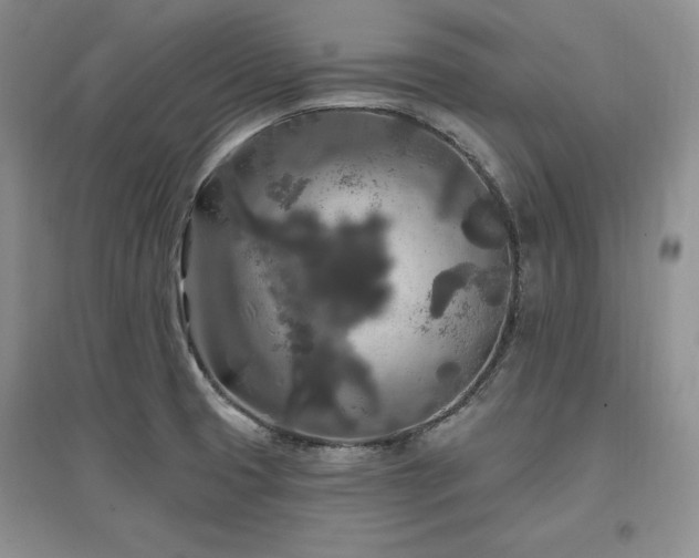 X0000097511425200802221456