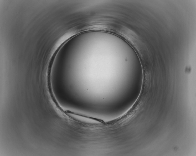X0000097511426200802221457