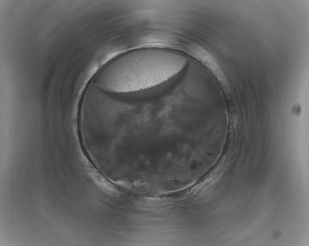X0000097511427200802221457