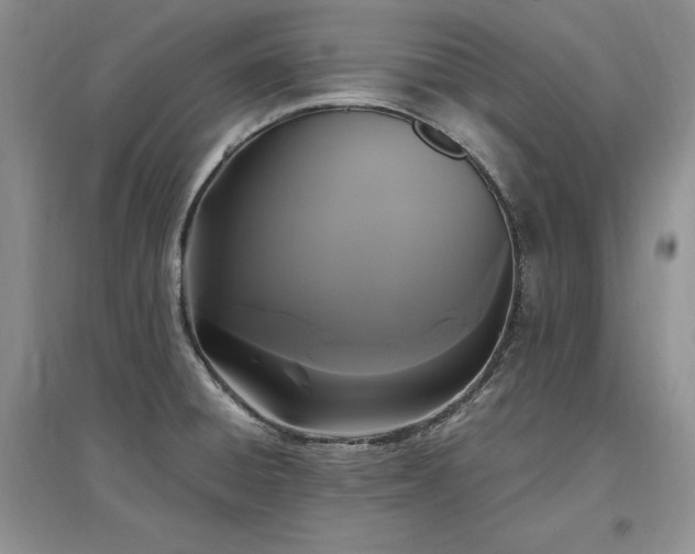X0000097511428200802221457