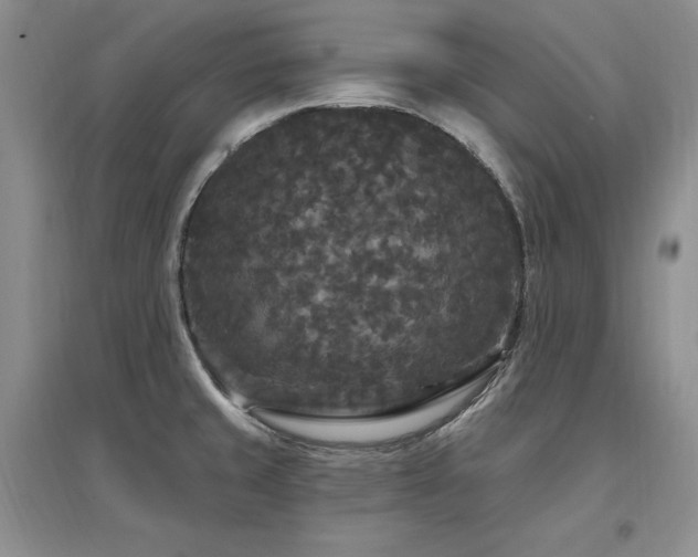 X0000097511429200802221457