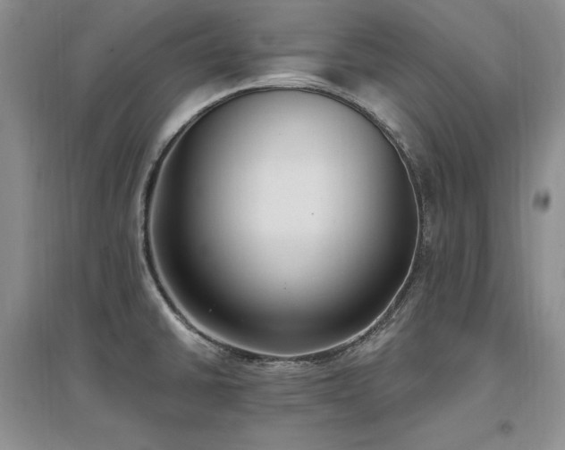X0000097511430200802221457