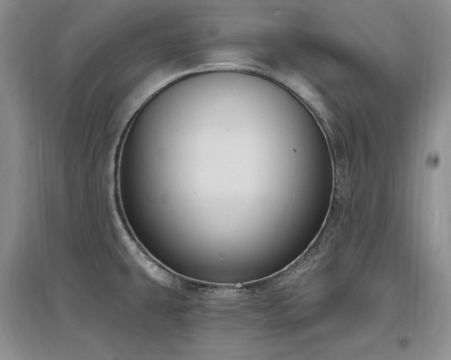 X0000097511431200802221457