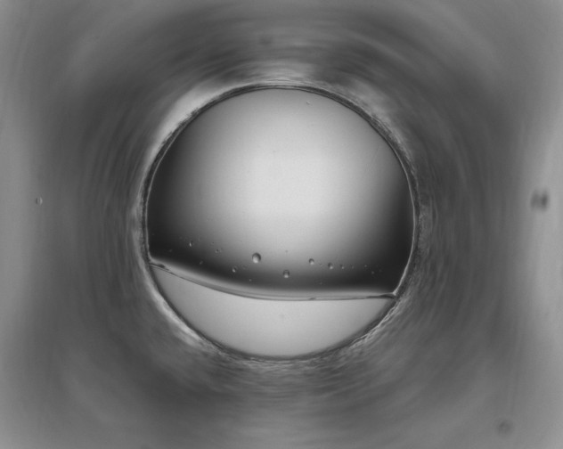 X0000097511432200802221457