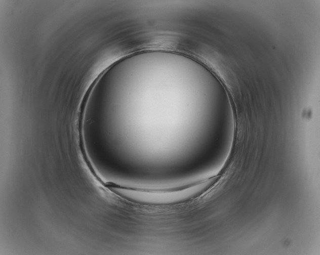 X0000097511434200802221457