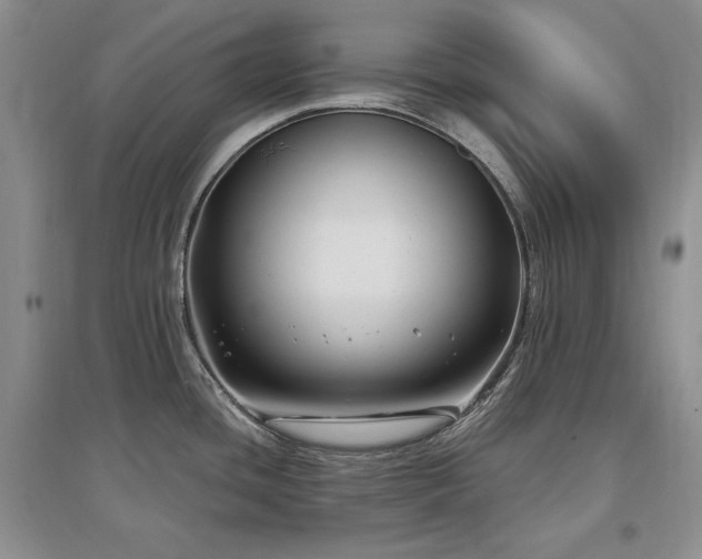 X0000097511436200802221457