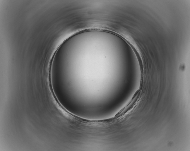 X0000097511437200802221457