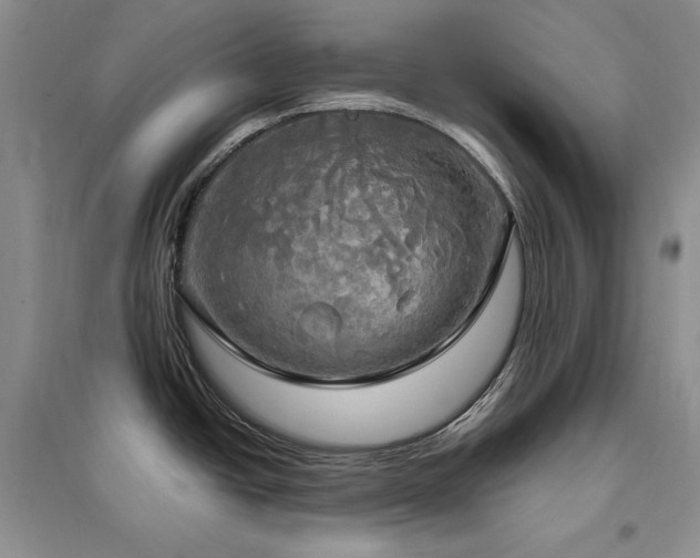 X0000097511438200802221457