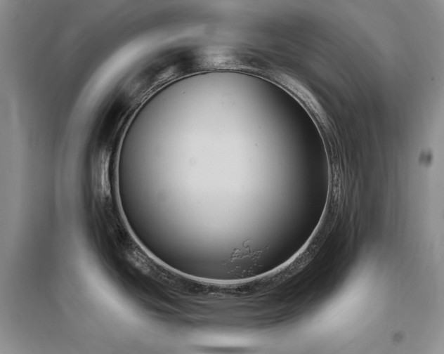 X0000097511439200802221457