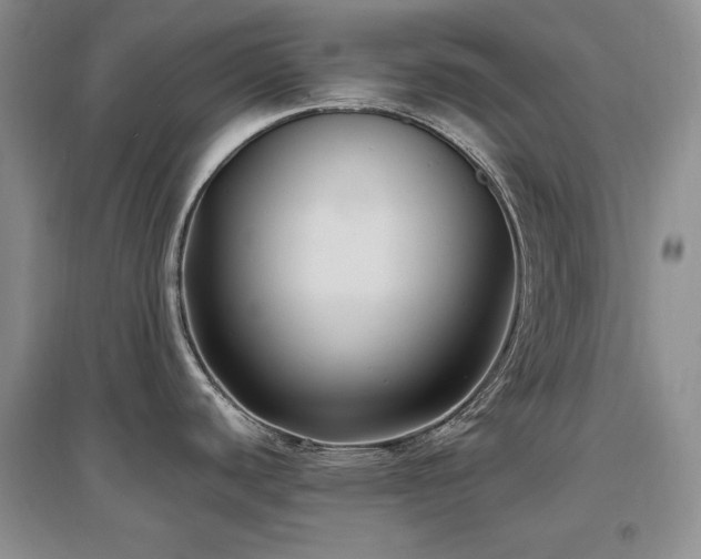 X0000097511440200802221457