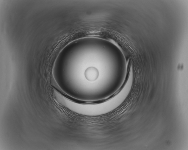 X0000097511441200802221456
