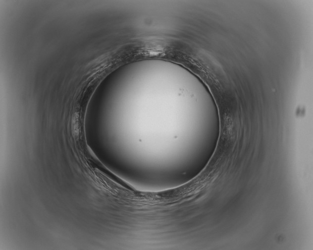 X0000097511442200802221456