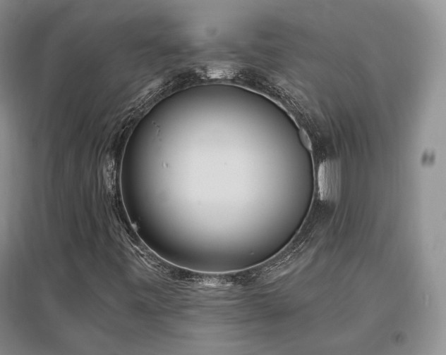 X0000097511443200802221456