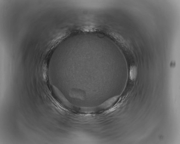 X0000097511444200802221456