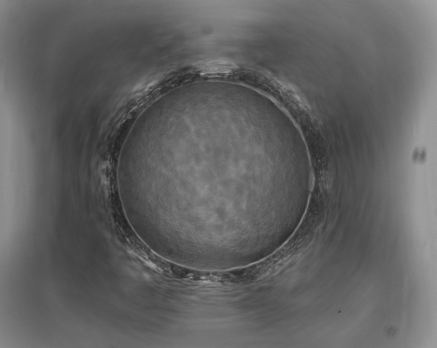 X0000097511445200802221456