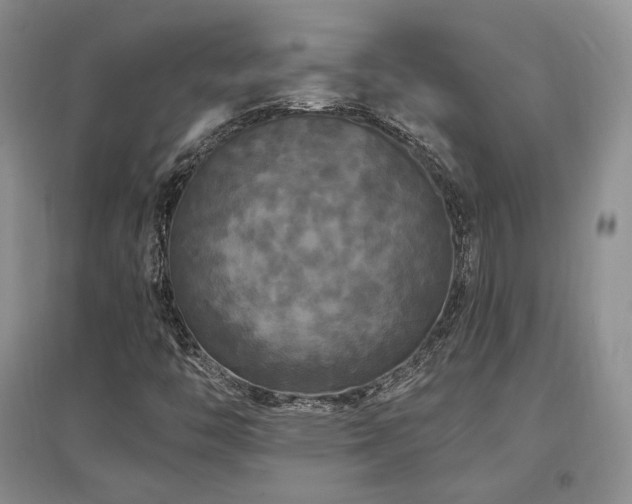 X0000097511446200802221456