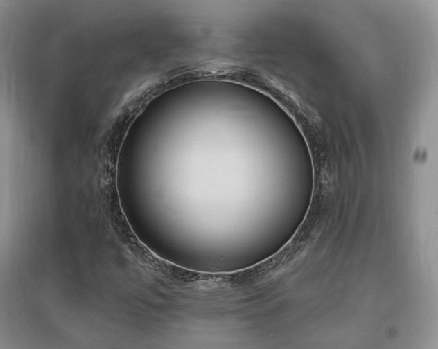 X0000097511447200802221456