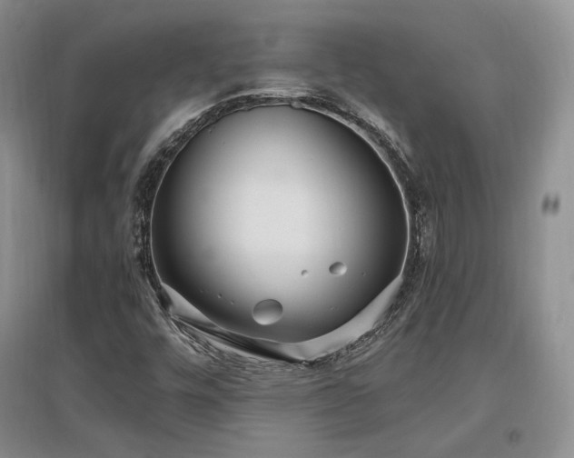 X0000097511448200802221456