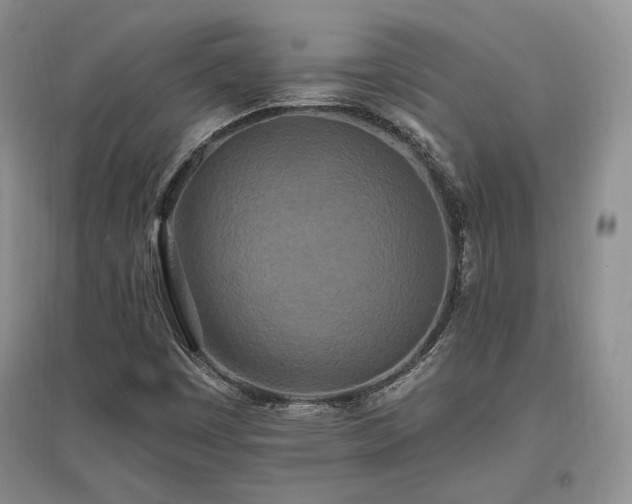 X0000097511449200802221456