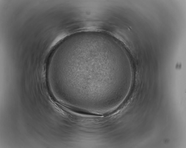 X0000097511450200802221456