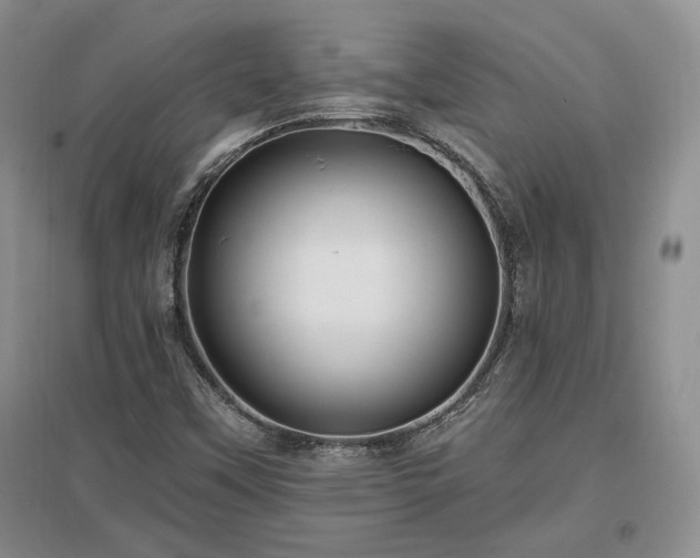 X0000097511451200802221456