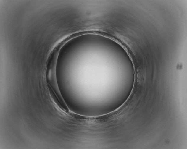 X0000097511452200802221456