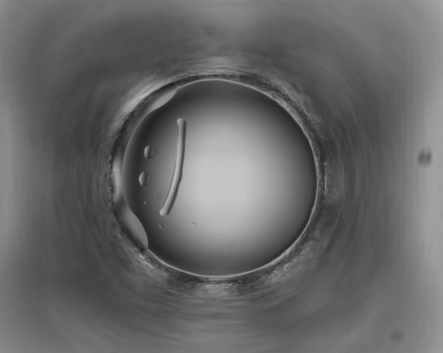 X0000097511453200802221456