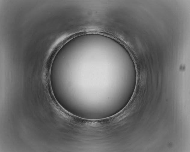 X0000097511454200802221456
