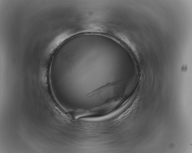 X0000097511455200802221456