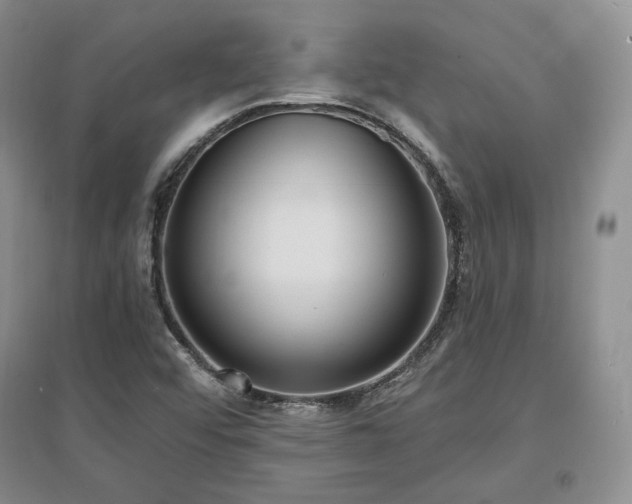 X0000097511456200802221456