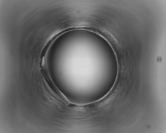 X0000097511457200802221456