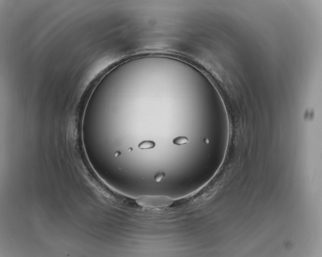 X0000097511458200802221456
