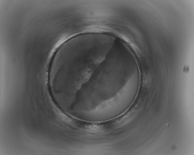 X0000097511459200802221456