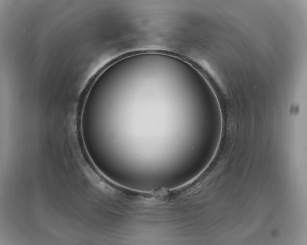 X0000097511460200802221456