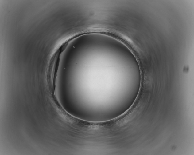 X0000097511461200802221456