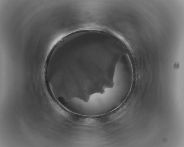 X0000097511463200802221456