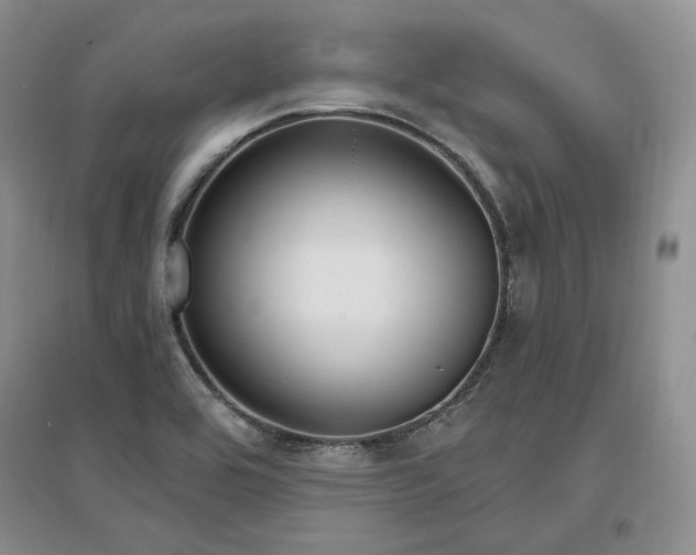 X0000097511464200802221456