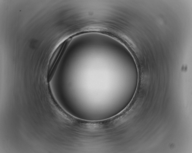 X0000097511465200802221456