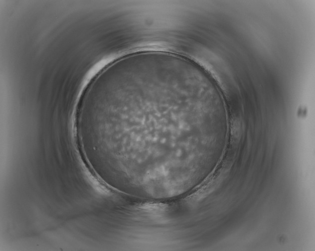 X0000097511466200802221456